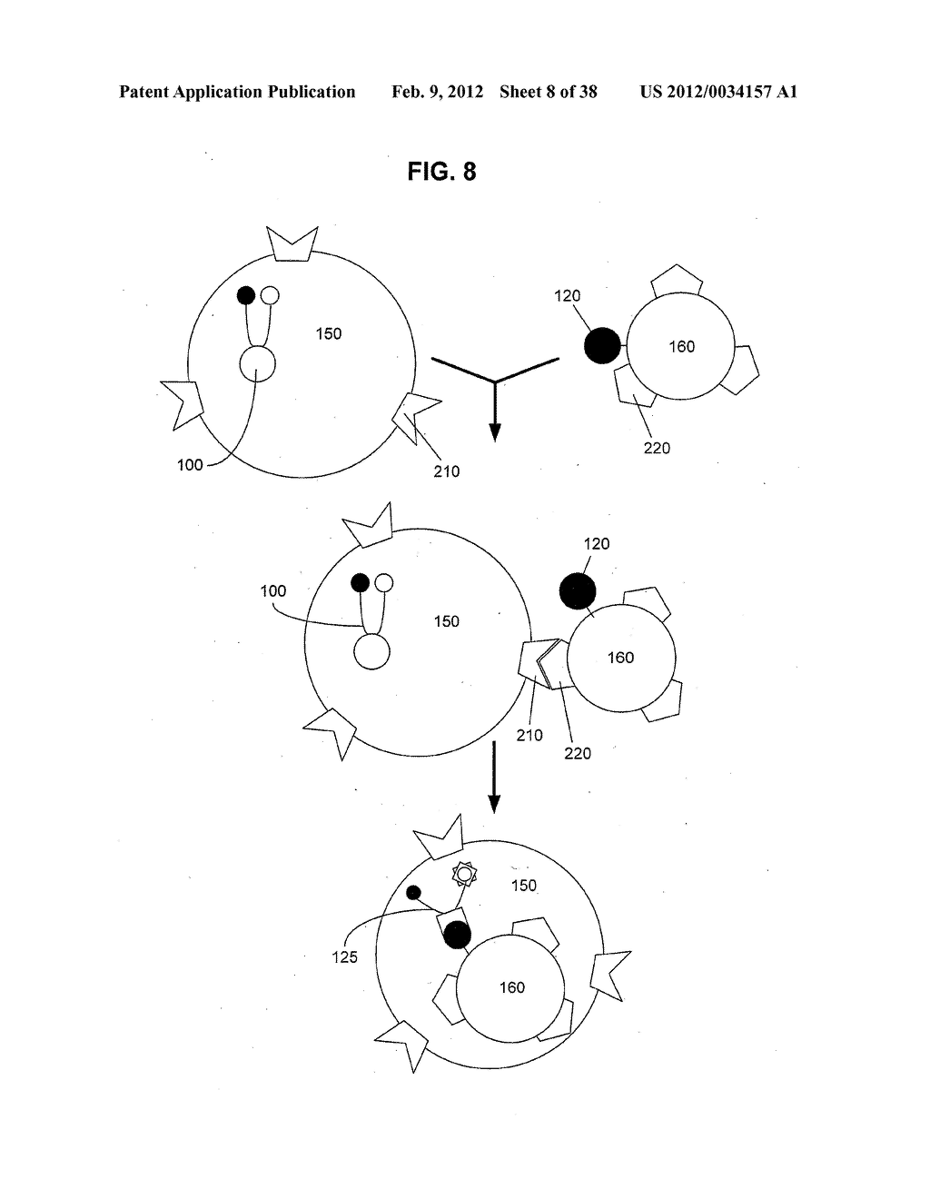 Artificial cells - diagram, schematic, and image 09