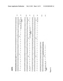 ANTI-CD20 ANTIBODIES AND FUSION PROTEINS THEROF AND METHODS OF USE diagram and image