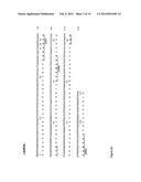 ANTI-CD20 ANTIBODIES AND FUSION PROTEINS THEROF AND METHODS OF USE diagram and image