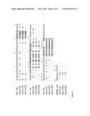 ANTI-CD20 ANTIBODIES AND FUSION PROTEINS THEROF AND METHODS OF USE diagram and image