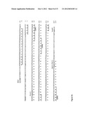 ANTI-CD20 ANTIBODIES AND FUSION PROTEINS THEROF AND METHODS OF USE diagram and image