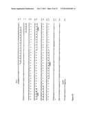 ANTI-CD20 ANTIBODIES AND FUSION PROTEINS THEROF AND METHODS OF USE diagram and image