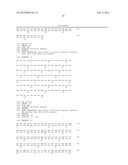 ANTI-CD20 ANTIBODIES AND FUSION PROTEINS THEROF AND METHODS OF USE diagram and image