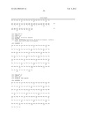 ANTI-CD20 ANTIBODIES AND FUSION PROTEINS THEROF AND METHODS OF USE diagram and image