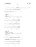 ANTI-CD20 ANTIBODIES AND FUSION PROTEINS THEROF AND METHODS OF USE diagram and image