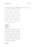 ANTI-CD20 ANTIBODIES AND FUSION PROTEINS THEROF AND METHODS OF USE diagram and image