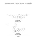 INDOLINE SCAFFOLD SHP-2 INHIBITORS AND METHOD OF TREATING CANCER diagram and image