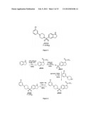 INDOLINE SCAFFOLD SHP-2 INHIBITORS AND METHOD OF TREATING CANCER diagram and image