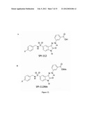 INDOLINE SCAFFOLD SHP-2 INHIBITORS AND METHOD OF TREATING CANCER diagram and image