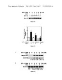 INDOLINE SCAFFOLD SHP-2 INHIBITORS AND METHOD OF TREATING CANCER diagram and image