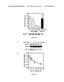 INDOLINE SCAFFOLD SHP-2 INHIBITORS AND METHOD OF TREATING CANCER diagram and image