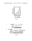 INDOLINE SCAFFOLD SHP-2 INHIBITORS AND METHOD OF TREATING CANCER diagram and image