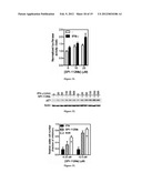 INDOLINE SCAFFOLD SHP-2 INHIBITORS AND METHOD OF TREATING CANCER diagram and image