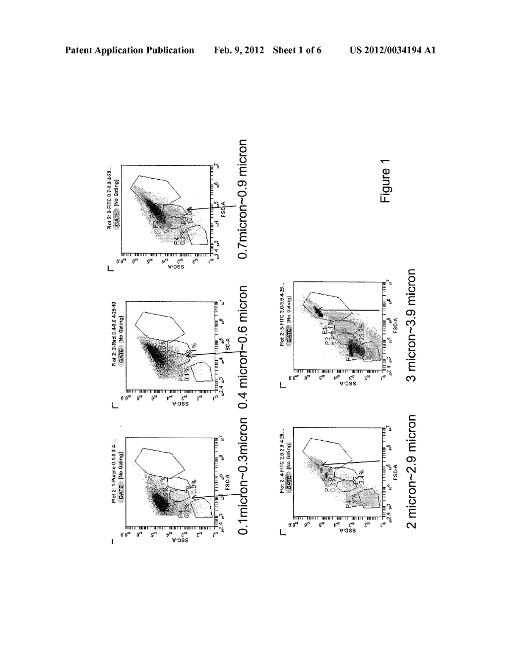 Somatic Stem Cells - diagram, schematic, and image 02