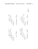 ANTI-NEOPLASTIC COMPOSITIONS COMPRISING EXTRACTS OF BLACK COHOSH diagram and image