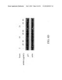 ANTI-NEOPLASTIC COMPOSITIONS COMPRISING EXTRACTS OF BLACK COHOSH diagram and image