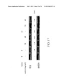 ANTI-NEOPLASTIC COMPOSITIONS COMPRISING EXTRACTS OF BLACK COHOSH diagram and image