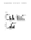 METHODS OF IMPROVING THE THERAPEUTIC EFFICACY AND UTILITY OF ANTIBODY     FRAGMENTS diagram and image