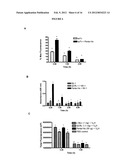 METHODS OF IMPROVING THE THERAPEUTIC EFFICACY AND UTILITY OF ANTIBODY     FRAGMENTS diagram and image