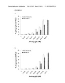 METHODS OF IMPROVING THE THERAPEUTIC EFFICACY AND UTILITY OF ANTIBODY     FRAGMENTS diagram and image