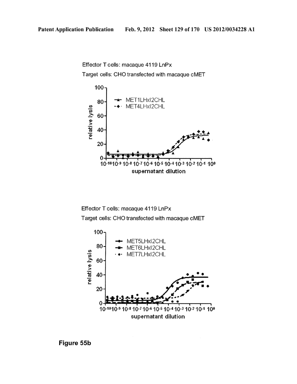 CROSS-SPECIES-SPECIFIC PSCAxCD3, CD19xCD3, C-METxCD3, ENDOSIALINxCD3,     EPCAMxCD3, IGF-1RxCD3 OR FAPALPHAxCD3 BISPECIFIC SINGLE CHAIN ANTIBODY - diagram, schematic, and image 130