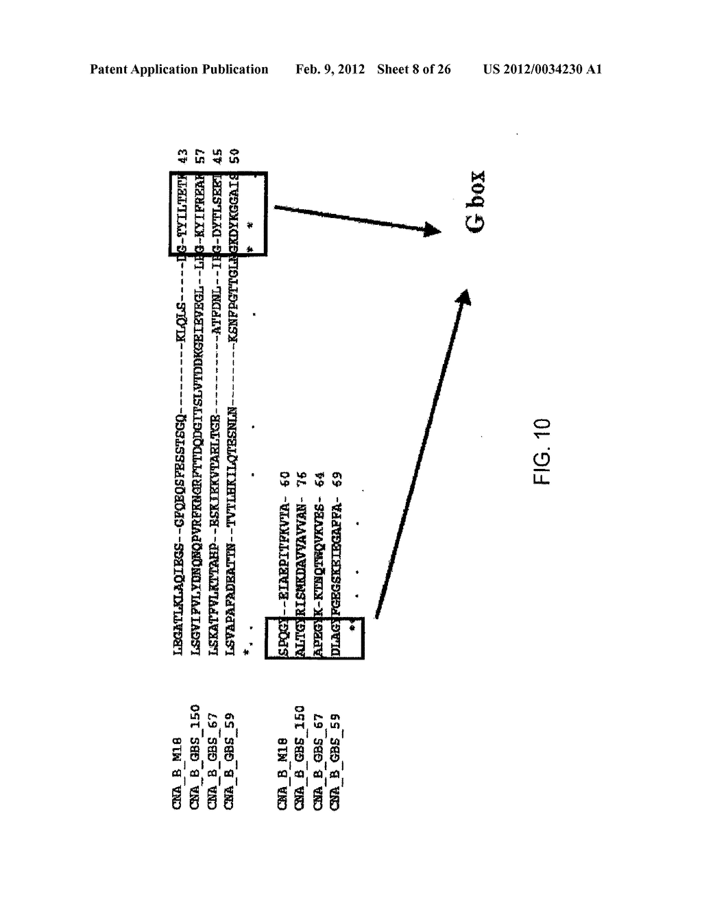 Cna-B DOMAIN ANTIGENS IN VACCINES AGAINST GRAM POSITIVE BACTERIA - diagram, schematic, and image 09