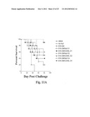 CYTOKINE-EXPRESSING CELLULAR VACCINE COMBINATIONS diagram and image