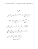 MONOMETHYLVALINE COMPOUNDS CAPABLE OF CONJUGATION TO LIGANDS diagram and image