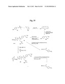 MONOMETHYLVALINE COMPOUNDS CAPABLE OF CONJUGATION TO LIGANDS diagram and image