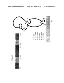 Influenza Vaccines, Antigens, Compositions, and Methods diagram and image