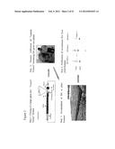 Influenza Vaccines, Antigens, Compositions, and Methods diagram and image