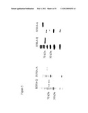 Influenza Vaccines, Antigens, Compositions, and Methods diagram and image