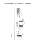 Influenza Vaccines, Antigens, Compositions, and Methods diagram and image