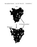 ANTIGENIC CLOAKING AND ITS USE diagram and image