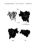 ANTIGENIC CLOAKING AND ITS USE diagram and image