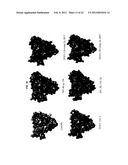 ANTIGENIC CLOAKING AND ITS USE diagram and image