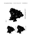 ANTIGENIC CLOAKING AND ITS USE diagram and image