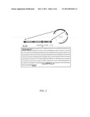 HCV VACCINES AND METHODS FOR USING THE SAME diagram and image