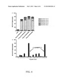 HCV VACCINES AND METHODS FOR USING THE SAME diagram and image