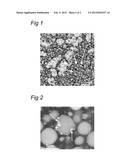 PROTEIN PARTICLES AND THEIR USE IN FOOD diagram and image