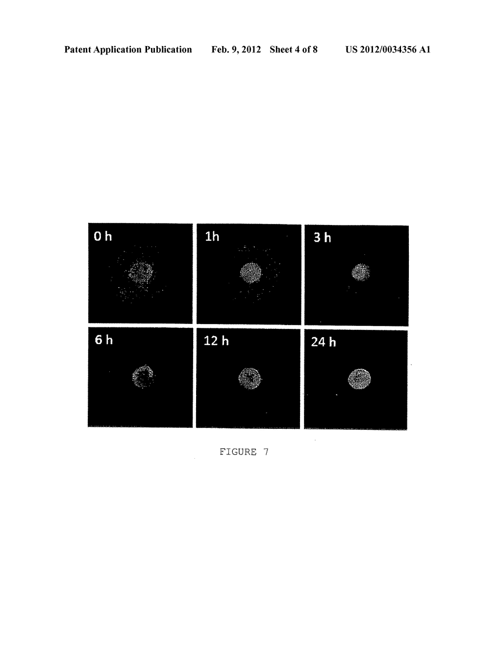 METHOD FOR PROLONGING THE SHELF LIFE OF AGRICULTURAL AND FOOD PRODUCTS - diagram, schematic, and image 05