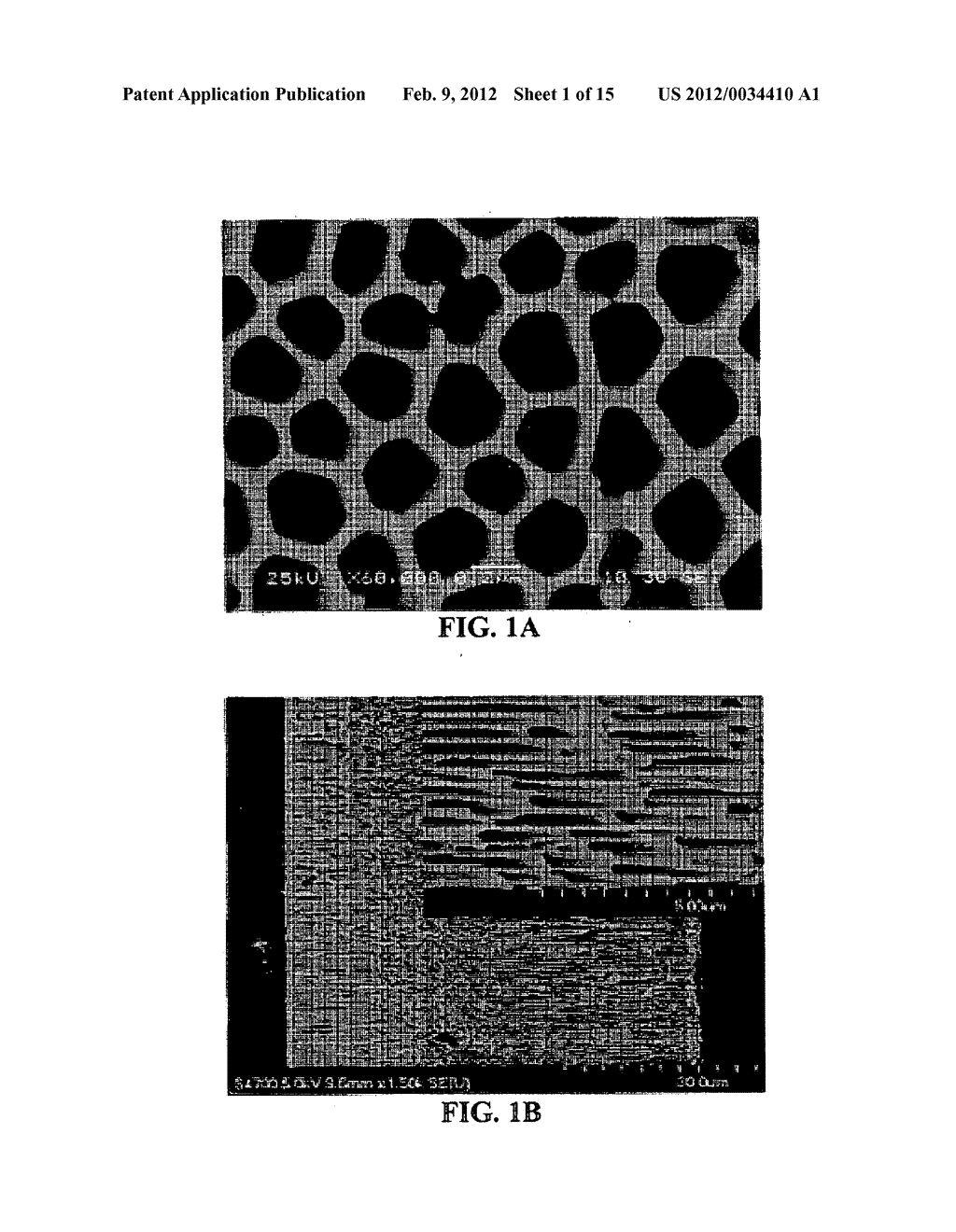 MULTIPLE WALLED NESTED COAXIAL NANOSTRUCTURES - diagram, schematic, and image 02