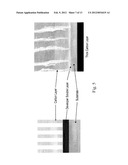 METHODS OF PRODUCING STRUCTURES USING A DEVELOPER-SOLUBLE LAYER WITH     MULTILAYER TECHNOLOGY diagram and image