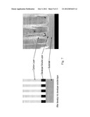 METHODS OF PRODUCING STRUCTURES USING A DEVELOPER-SOLUBLE LAYER WITH     MULTILAYER TECHNOLOGY diagram and image