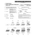 Thin-Filmy Polymeric Structure and Method of Preparing the Same diagram and image