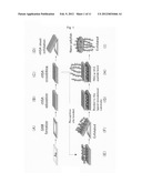 Thin-Filmy Polymeric Structure and Method of Preparing the Same diagram and image