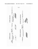 Thin-Filmy Polymeric Structure and Method of Preparing the Same diagram and image