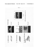 Thin-Filmy Polymeric Structure and Method of Preparing the Same diagram and image