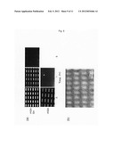 Thin-Filmy Polymeric Structure and Method of Preparing the Same diagram and image