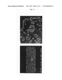 Thin-Filmy Polymeric Structure and Method of Preparing the Same diagram and image